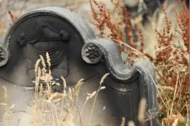 王旭清｜我的外婆润花：“异乡人”还是“福命人”图片