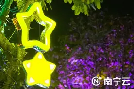 浪漫来袭 青秀山灯光夜游带你开启梦幻之旅图片