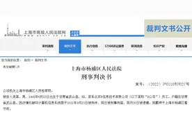 离职当天，程序员删除平台优惠券、补贴规则等代码，被判刑10个月图片