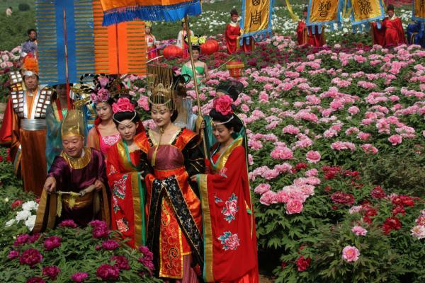 洛阳牡丹甲天下花开时节动京城全诗（牡丹与洛阳）