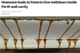 家里墙缝突然渗出血一样的液体？夫妻尝一口后“疯狂拆家”图片