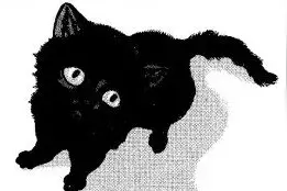 夏目漱石：瞧，一股鲜红，一股淡青图片