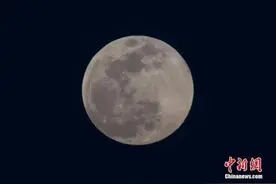 请查收！2022年“追星指南”→图片