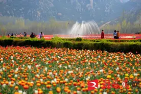 免！免！免！我市多家A级景区推出免门票优惠活动图片