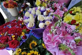 全球多地玫瑰大涨价！供应链危机推高“甜蜜的负担”图片