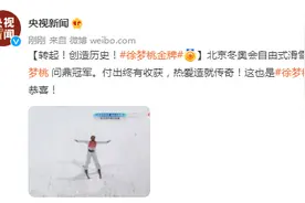 创造历史！徐梦桃金牌！这也是徐梦桃的第28个世界冠军图片