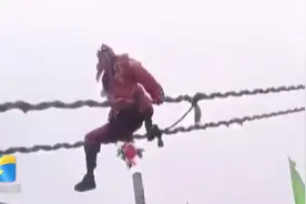 河南许昌一舞狮队表演时从高空不慎摔落，镇政府：已暂停表演，伤亡情况未知图片