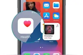 一文看懂 iPhone 「自带 App「健康」」的各项指标图片