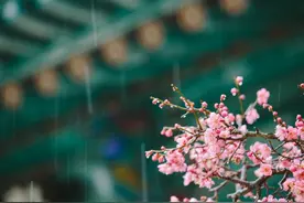 青未了｜时光煮雨 岁月缝花图片