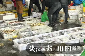 5块钱能在杭州水产市场买到啥？节后东海海鲜复盘，放量便宜卖，还有海鲜盲盒图片