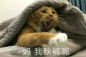 冷空气明日到货！广东将再降10℃！比春节还冷的日子来了…图片