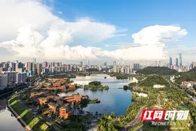 鸿雁归来 筑梦桑梓——湖南栽“梧”引“凤”催生“归巢效应”图片