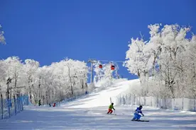 冬奥冰雪热，房企等风来图片