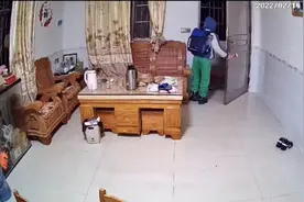 男孩凌晨5点独自摸黑上学，两条小狗陪伴，打工父亲讲述无奈图片