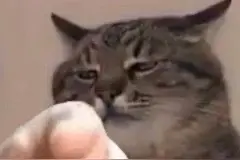 路口相逢不让行，这样开车负全责！图片