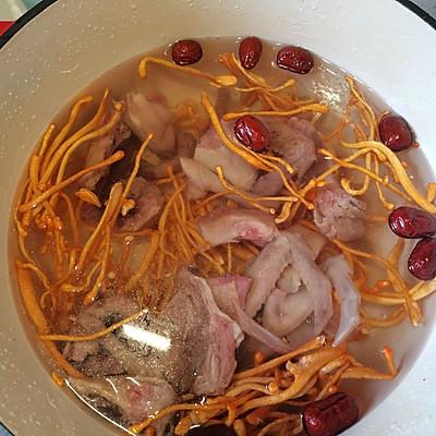 花旗参花胶炖乳鸽 花胶花旗参煲鸽