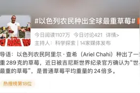 全球最重草莓一颗289克！网友：一斤买两颗……专家：“畸形”草莓不影响食用图片