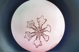 显微镜下的雪花，竟然是这样！图片