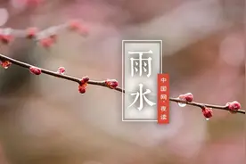 夜读 | 雨水：好雨知时节图片