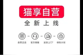 天猫App要改名？还要转自营？最新回应来了图片