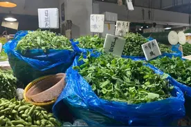 马兰头、枸杞头、香韭菜……春天的滋味，尽在菜市场图片