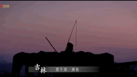全国赏春花时间表出炉！你的家乡上榜了吗？