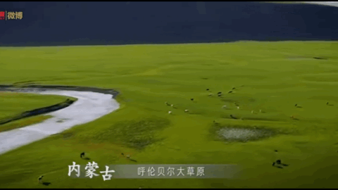 全国赏春花时间表出炉！你的家乡上榜了吗？