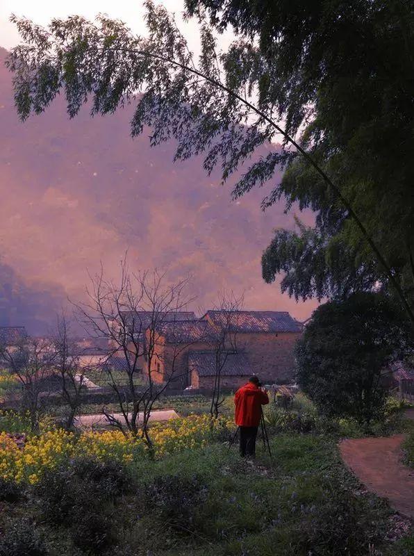 全国赏春花时间表出炉！你的家乡上榜了吗？