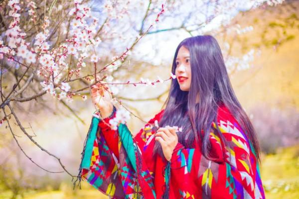 全国赏春花时间表出炉！你的家乡上榜了吗？