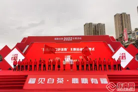 十位奥运、世界冠军齐聚福鼎 为福鼎白茶“代言”图片