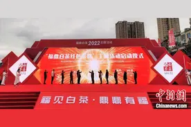 奥运、世界冠军助力“中国白茶之乡”茶产业发展图片