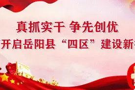 真抓实干 争先创优 坚持改革创新引领 不断优化营商环境图片