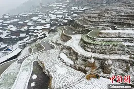 贵州春雪落梯田图片