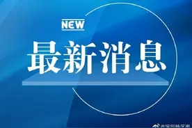 即日起，穗深城际铁路沿线车站暂停客运图片