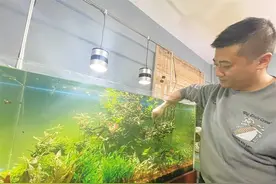 指尖演绎自然魅力——水族造景师岳伟和他的缸体世界图片