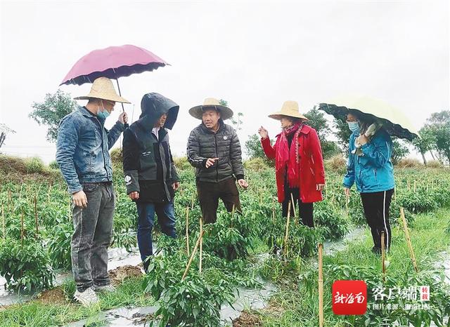 浣庢俯鏉ヨ 娴峰崡鍐滀笟涓撳鏀嫑鍐滀綔鐗╄繖鏍峰簲瀵? onerror=