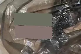 女生返校发现床铺成老鼠窝，当事人：床上有4只鼠崽图片