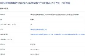 濮阳投资集团有限公司拟发行30亿元私募债获上交所反馈图片