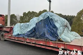 嚣张！“百吨王”一路高速从山东跑到了无锡图片