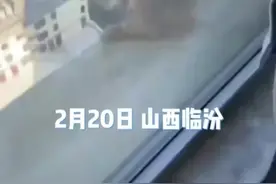 4名学生20楼高空扔狗 警方通报：3人被行政处罚图片