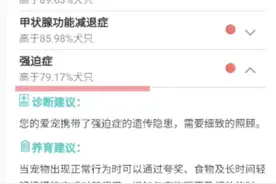 给宠物做基因检测，拿宠物照片算出走失方向，层出不穷的新兴宠物消费市场，是情感慰藉还是智商充值？图片