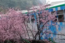 瞰见丨穿楼轻轨边的春天足迹视频封面