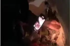 老鼠偷窃超市2千现金拖进老鼠洞 民警徒手捣毁老鼠窝图片