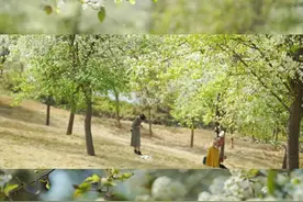 花都开好啦！带上《南宁春日赏花攻略》出发图片