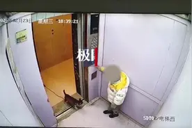 监控实拍：电梯门卡住牵引绳，宠物狗被吊在半空中图片