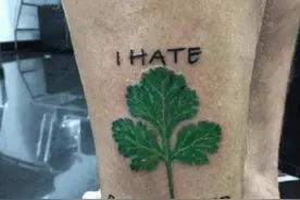 2月24日是世界讨厌香菜日 今天世界讨厌香菜日 不爱吃香菜居然是基因决定的图片