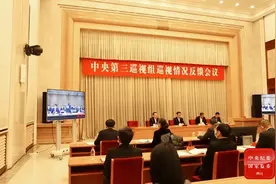 中央第三巡视组向中国太平保险集团有限责任公司党委反馈巡视情况图片