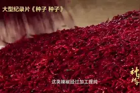 300000辣度！这种辣椒，竟比火锅辣100倍！能吃吗？干啥用的→图片