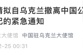 早安武汉︱深夜紧急通知，中国拟分批包机接回国！长江日报连线在乌华人图片