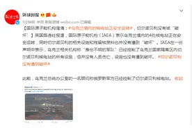 国际原子能机构澄清：乌克兰境内的核电站正安全运转，切尔诺贝利没有被“破坏”图片